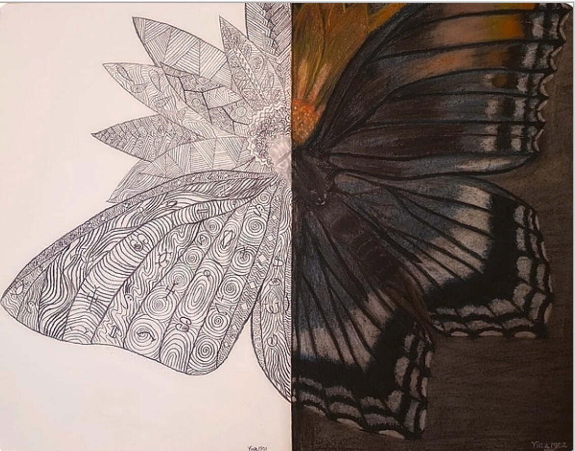 Butterfly | Charcoal/ Graphite Pencil/ Pastels | 2018