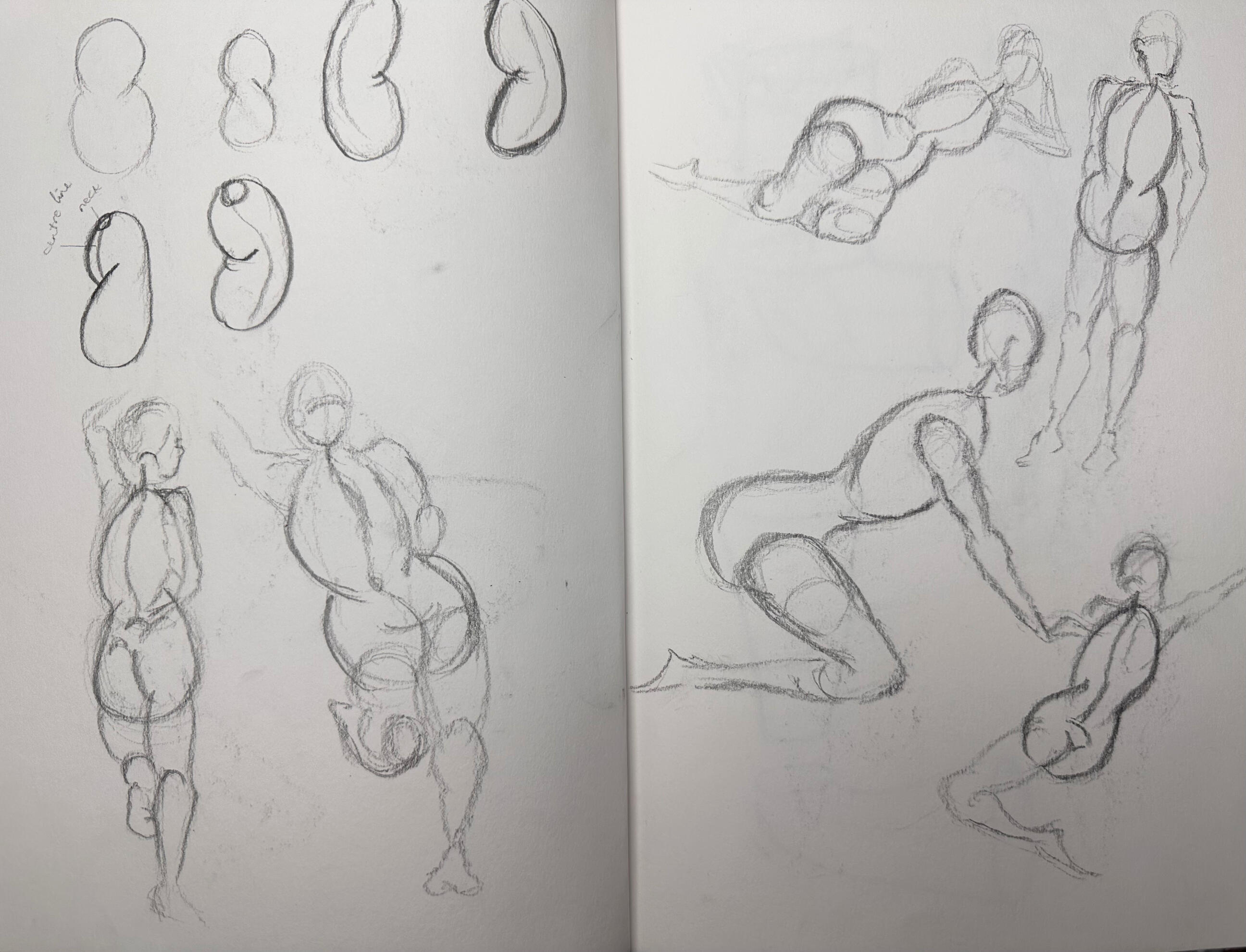 Lima Bean figure studies | 2025