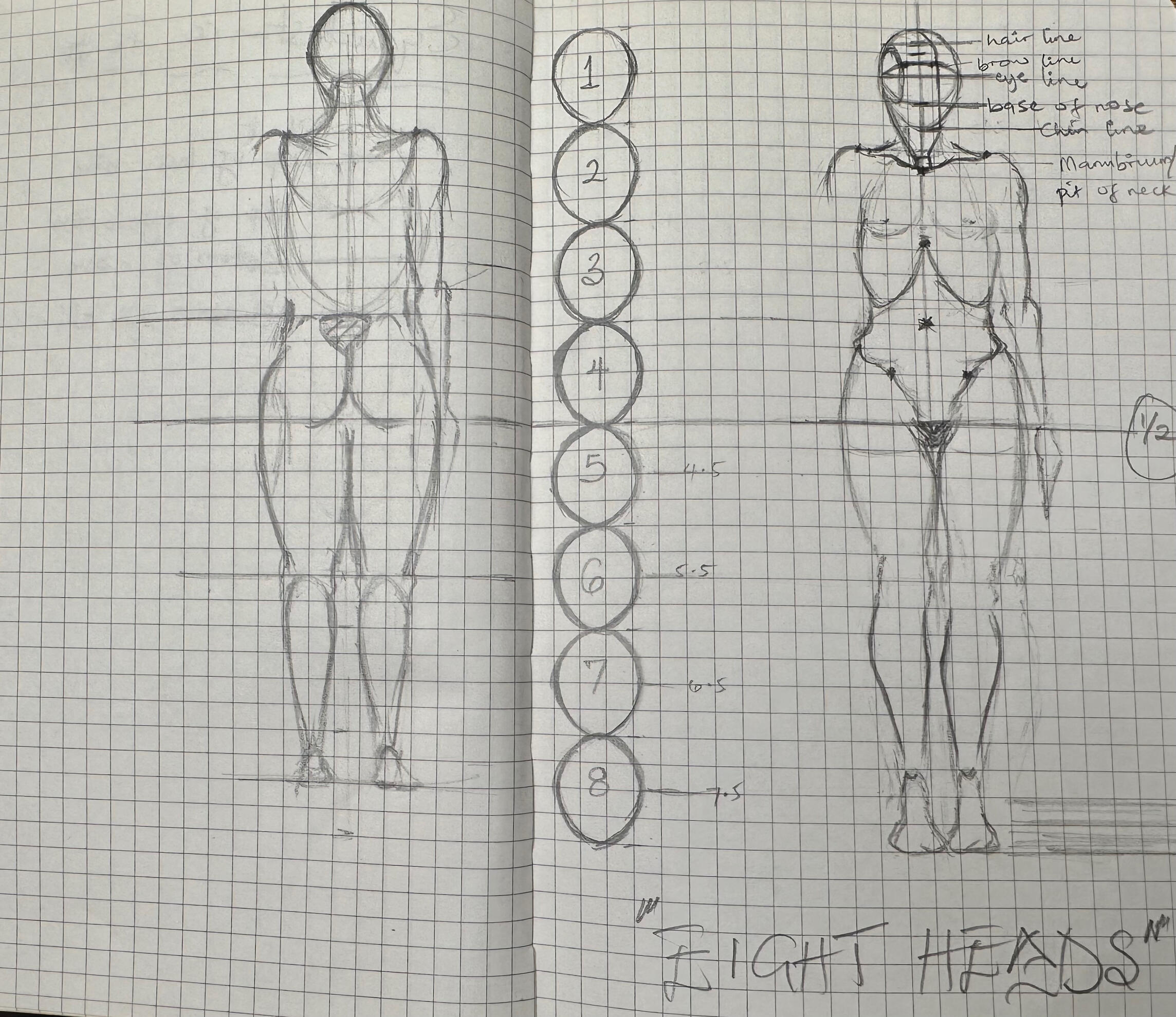 Eight Heads | 2025
